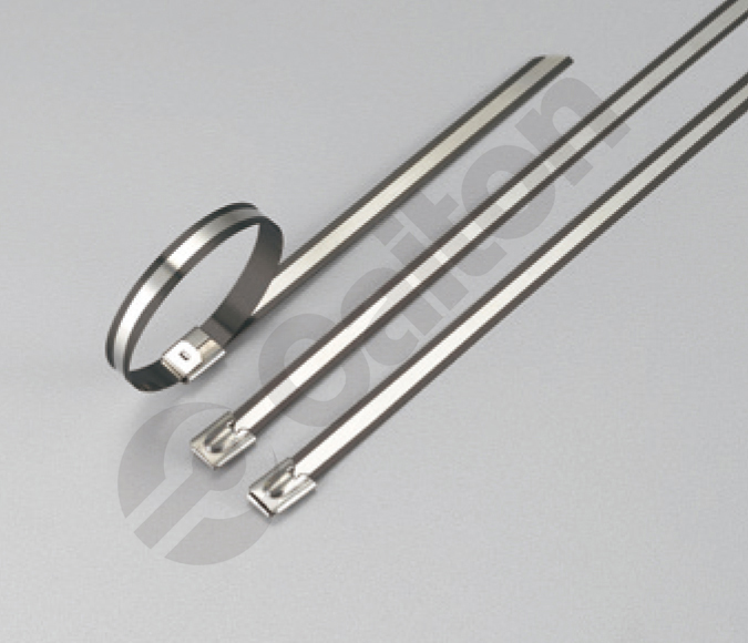 Packets of Stainless Steel Cable Tie (FZHPG series)